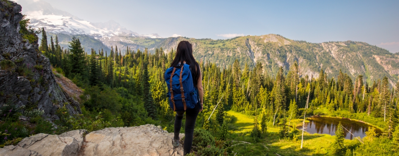 Healing from an Injury