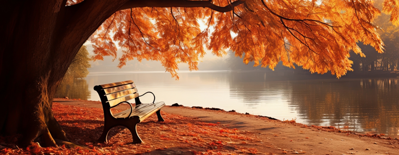 mti-physical therapy-bellevue-edmonds-seattle-WA-in-memory